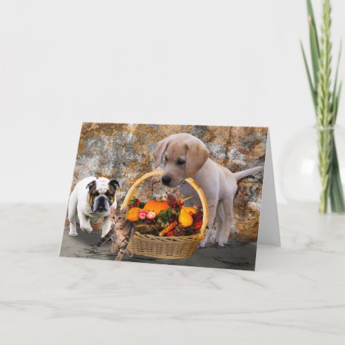 PUPPIES  HAPPY THANKSGIVING CARD