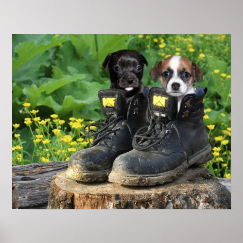 Puppies in work boots poster