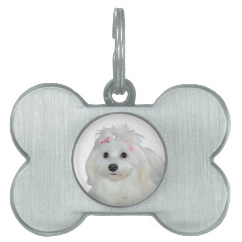 Puppies Love Cute Maltese Dog Pet ID Tag