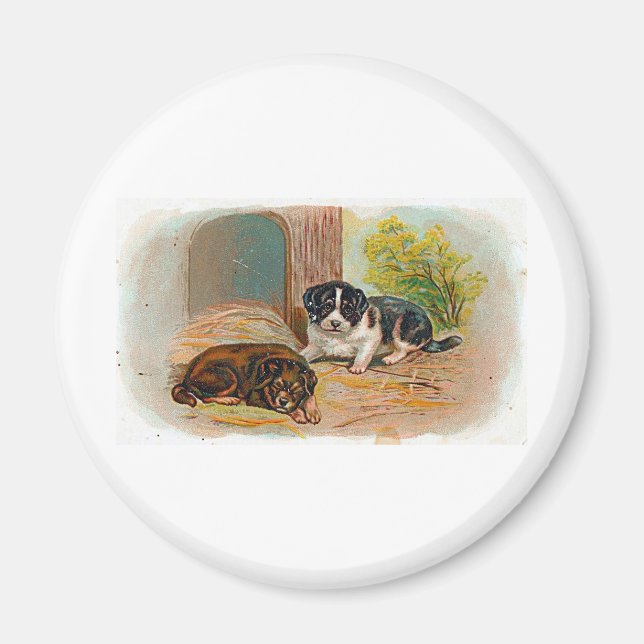 Puppies Magnet (Front)