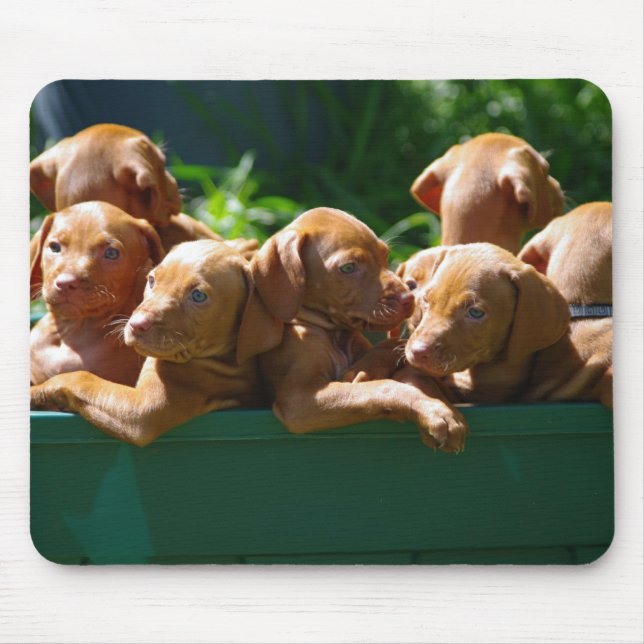 Puppies Mouse Pad (Front)