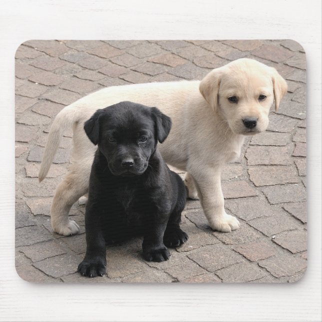 puppies mousepad (Front)
