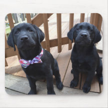 Puppies Mousepad