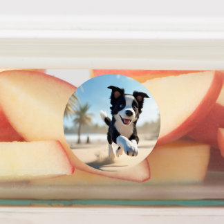 Puppies playing on the beach labels