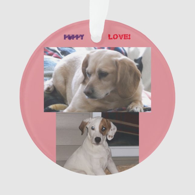 Puppies & Sis Ornament (Front)