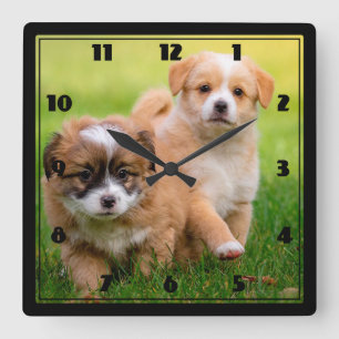 Puppies Square Wall Clock