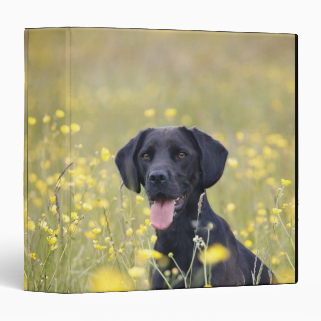Puppy 16 Months 2 3 Ring Binder (Front/Spine)