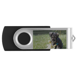 puppy 2 mini schnauzer flash drive