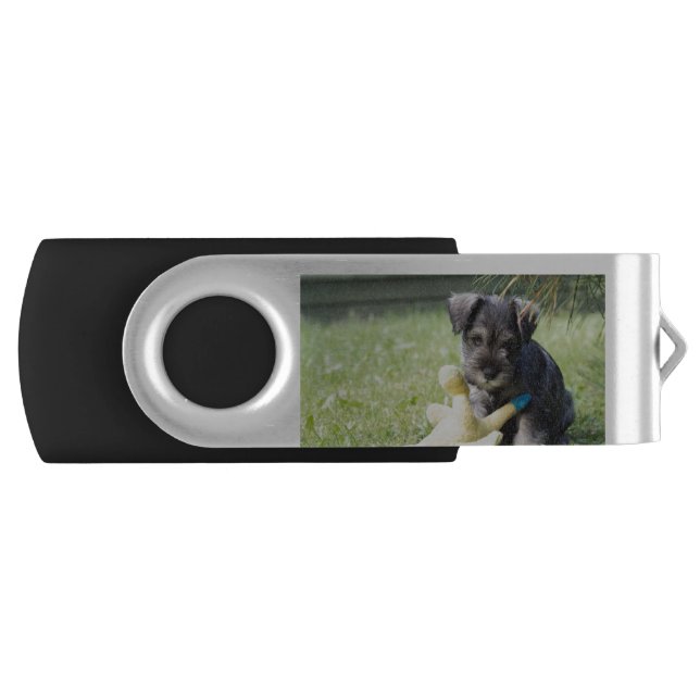 puppy 2 mini schnauzer flash drive (Front)