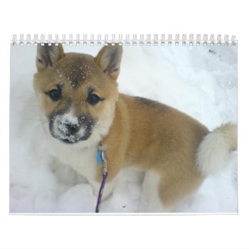 Puppy 3 Shiba Inu.png Calendar by BreakoutTees at Zazzle