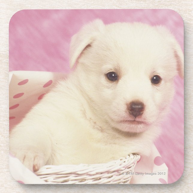 Puppy 5 beverage coaster (Front)