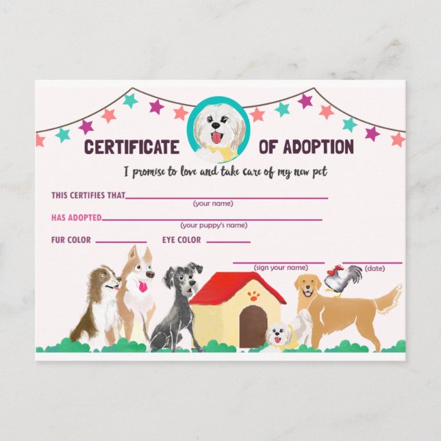 Puppy Adoption Certificate for a Pet Invitation Postcard (Front)
