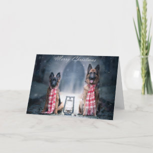 Puppy and adult german shepherd christmas card