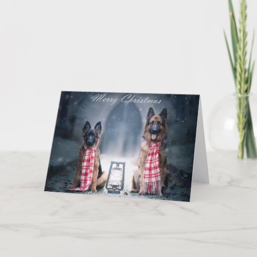 Puppy and adult german shepherd holiday card