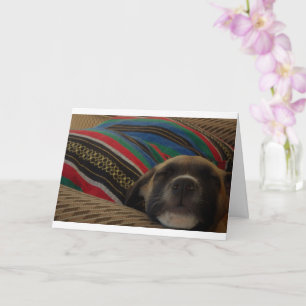 Puppy and Cushion Card