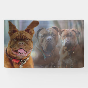 Puppy and Friends Banner