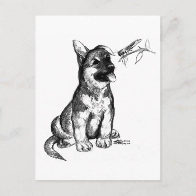 Puppy and Grasshopper Postcard (Front)