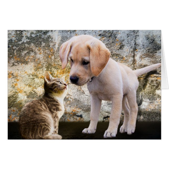 Puppy And Kitten Thank-You Card (Front Horizontal)