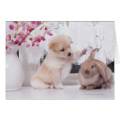 Puppy and Lop Ear Rabbit (Front Horizontal)