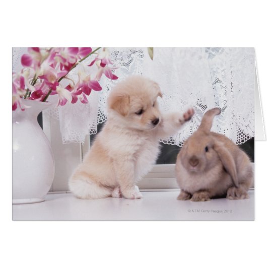 Puppy and Lop Ear Rabbit Cards (Front Horizontal)