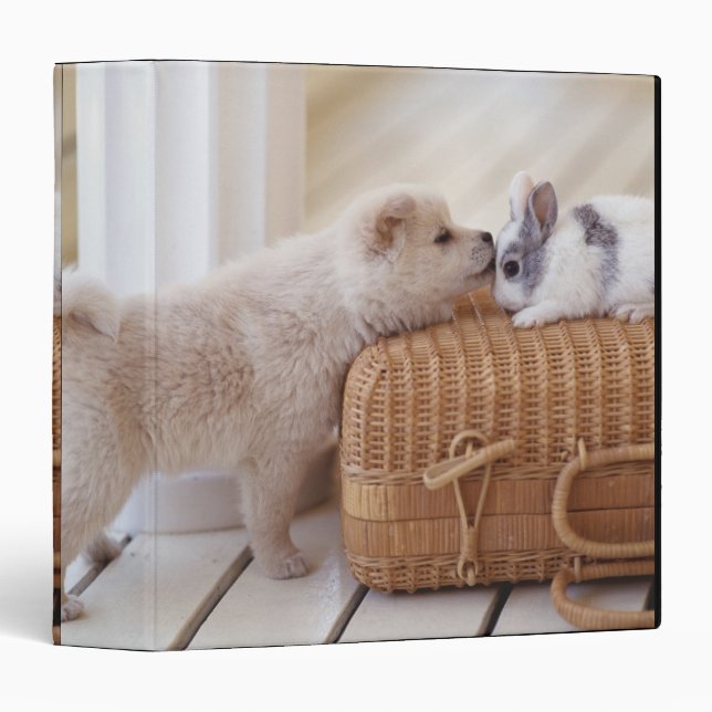 Puppy and rabbit binder (Front/Spine)
