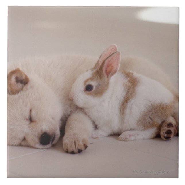Puppy and Rabbit Ceramic Tile (Front)