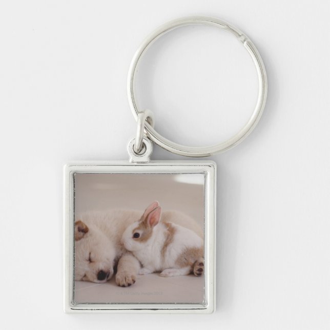 Puppy and Rabbit Keychain (Front)