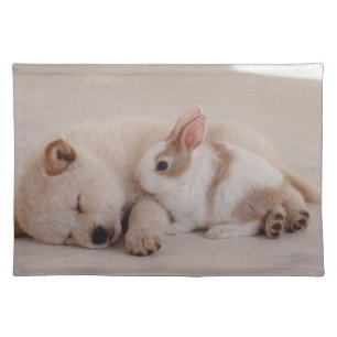 Puppy and Rabbit Placemat