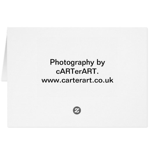 Puppy and Teddy (Back Horizontal)