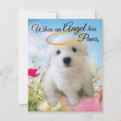 Puppy Angel  (Front)