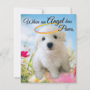 Puppy Angel