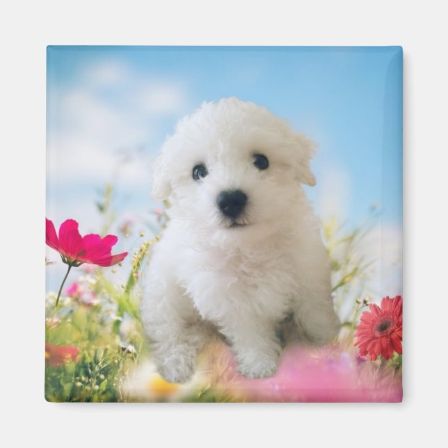 Puppy Angel Magnet (Front)