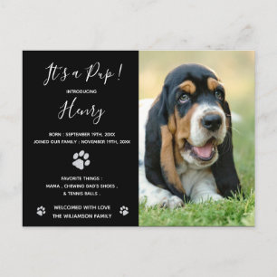 Puppy Announcement Black Elegant Modern Glitter Postcard