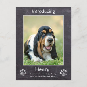Puppy Announcement - Chalkboard New Puppy Dog Postcard