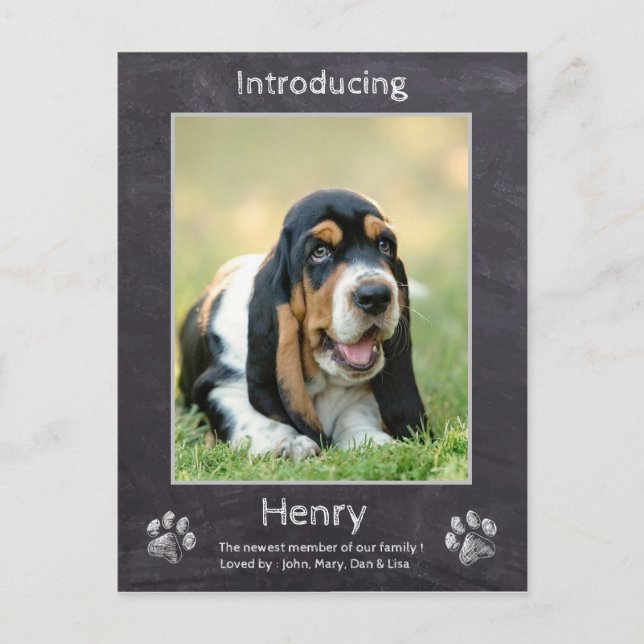 Puppy Announcement - Chalkboard New Puppy Dog Postcard (Front)
