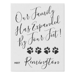 Puppy Announcement - Elegant Modern White New Pet Faux Canvas Print