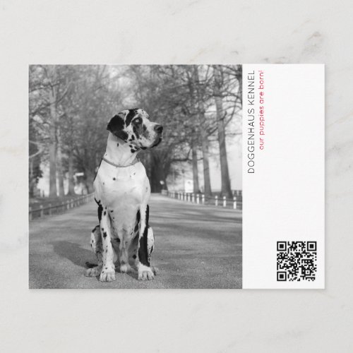 Puppy announcement postcard