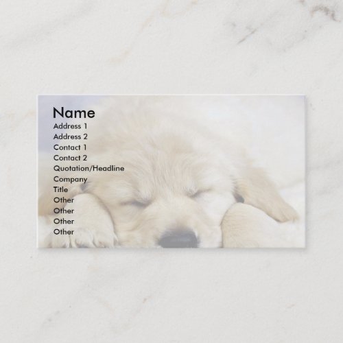 Puppy asleep business cards