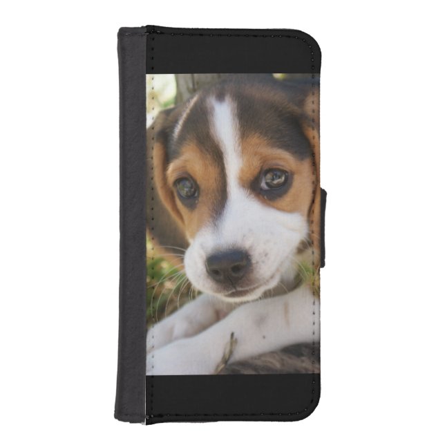 Puppy Beagles iPhone Wallet Case (Front)