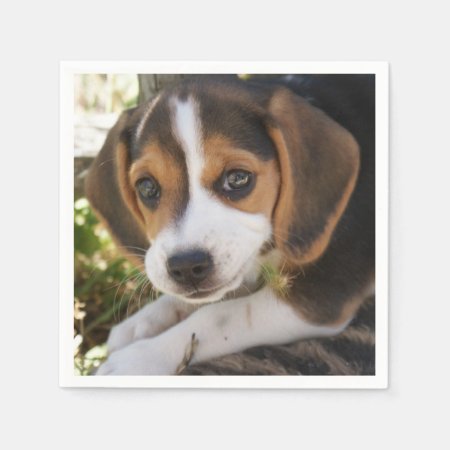 Puppy Beagles Napkins