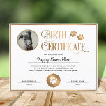 Puppy Birth Certificate Insert Photo Paw Print<br><div class="desc">Puppy Birth Certificate Insert Photo Paw Print</div>