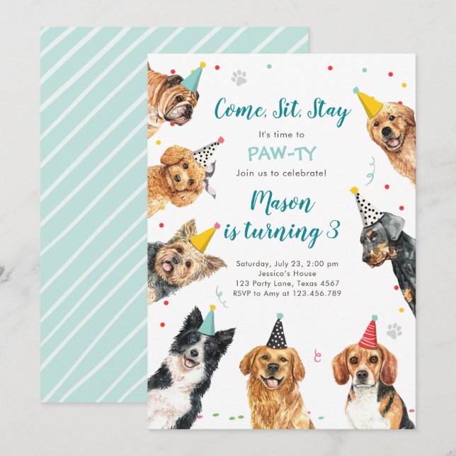 Puppy Birthday Invitation Dog Party Pawty Boy (Front/Back)