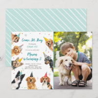 Puppy Birthday Invitation Dog Party Pawty Boy