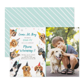 Puppy Birthday Invitation Dog Party Pawty Boy