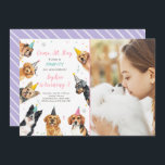 Puppy Birthday Invitation Dog Party Pawty Girl<br><div class="desc">Dog Puppy Birthday themed invitation for your perfect celebration.</div>