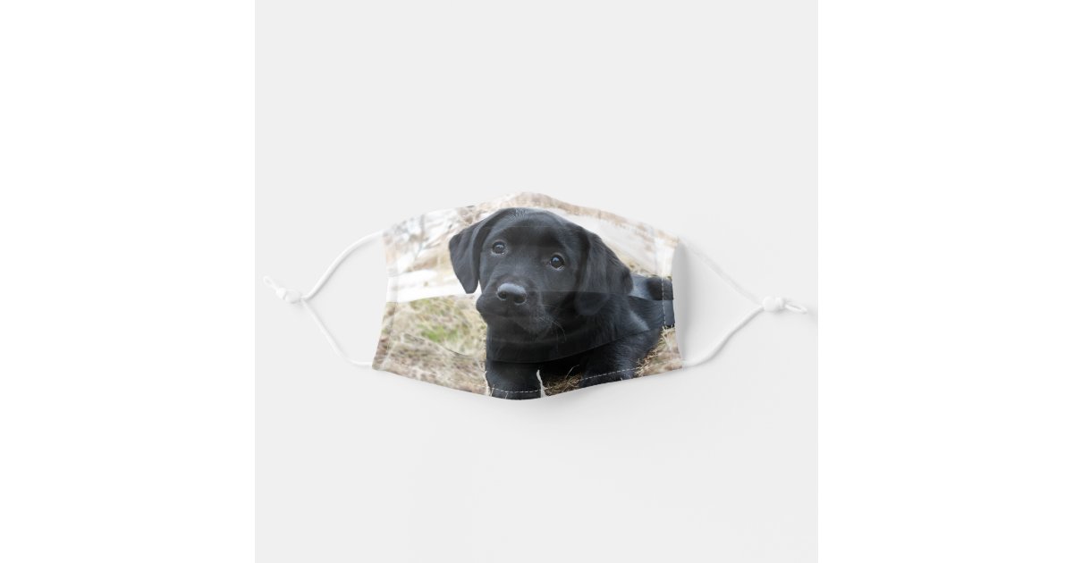 Puppy Black Labrador Cute Dog Labrador Black Lab Cloth Face Mask Zazzle Com