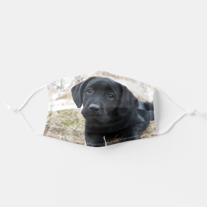 Puppy Black Labrador Cute Dog Labrador Black Lab Cloth Face Mask Zazzle Com