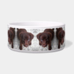 Puppy Bowl<br><div class="desc">Puppy pet feeding bowl</div>