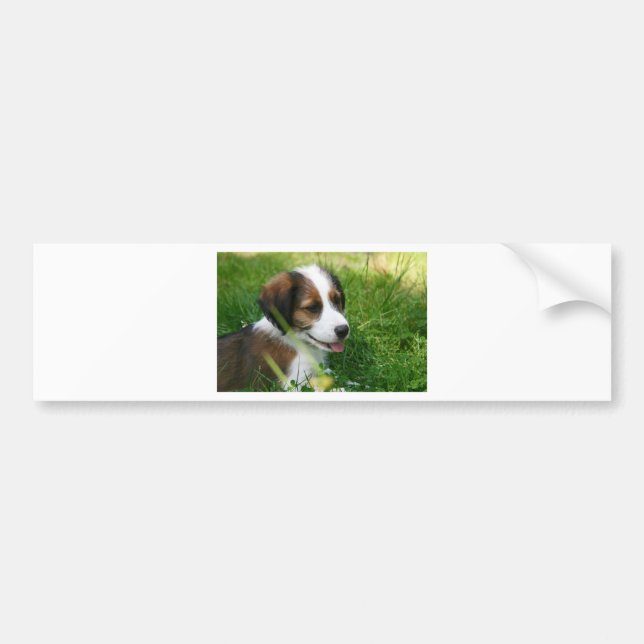 Puppy Bumper Sticker (Front)