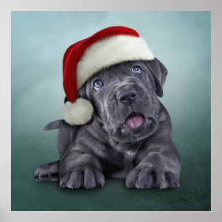 Puppy Cane Corso in red hat of Santa Claus Poster